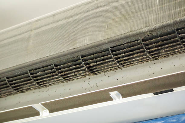 Best Home Air Vent Cleaning  in Groves, TX